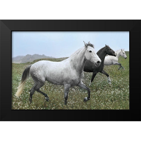 Perfect Pasture Black Modern Wood Framed Art Print by Llovet, Jorge