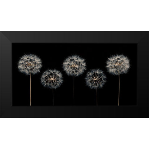 Make A Wish Black Modern Wood Framed Art Print by Frank, Assaf