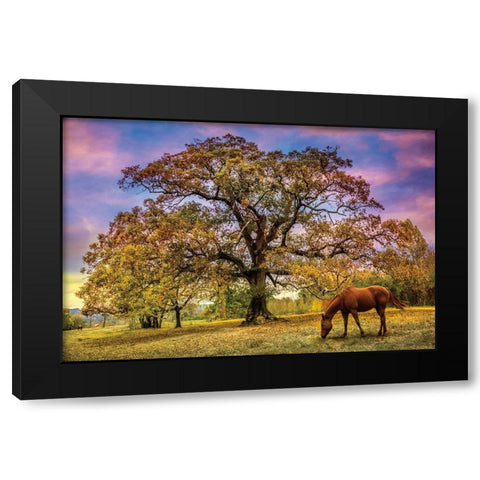 Under The Old Oak Tree Black Modern Wood Framed Art Print with Double Matting by Celebrate Life Gallery