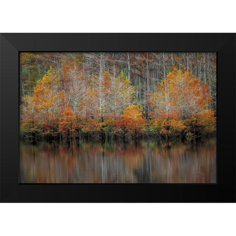 Autumn Cypress Black Modern Wood Framed Art Print by Burt, D.