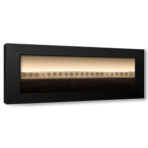 Dappled Morning Fields Black Modern Wood Framed Art Print by Ross, Heather