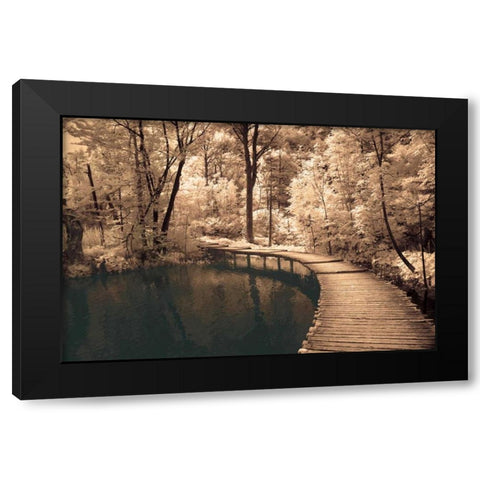Take My Lead I Black Modern Wood Framed Art Print by Szilagyi, Ily