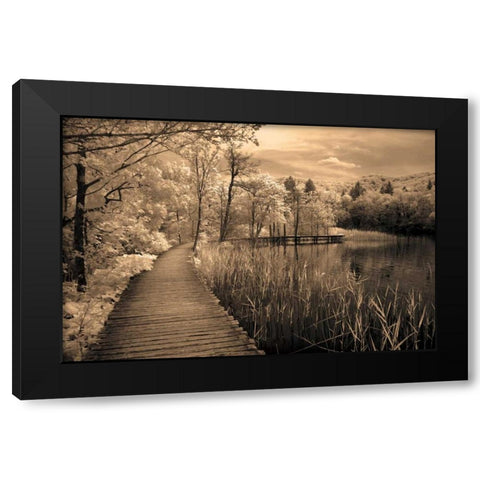 Take My Lead II Black Modern Wood Framed Art Print by Szilagyi, Ily