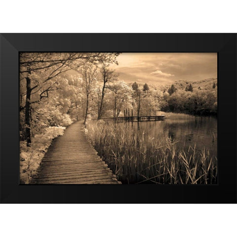 Take My Lead II Black Modern Wood Framed Art Print by Szilagyi, Ily