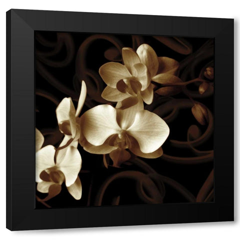 Grace Black Modern Wood Framed Art Print by Szilagyi, Ily