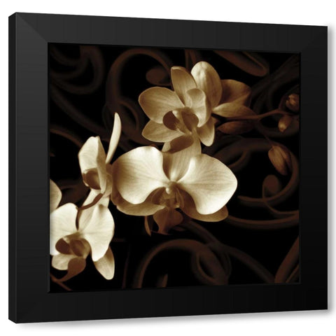 Grace Black Modern Wood Framed Art Print by Szilagyi, Ily