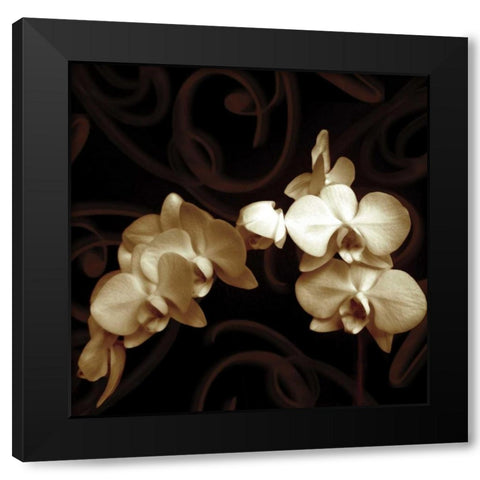 Elegance Black Modern Wood Framed Art Print by Szilagyi, Ily