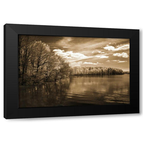 Natures Glory Black Modern Wood Framed Art Print by Szilagyi, Ily