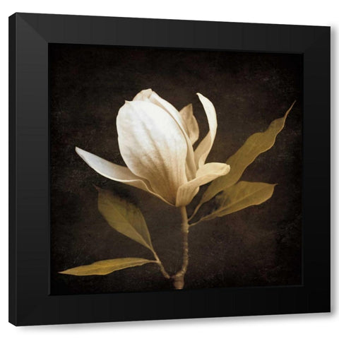 Grandeur Black Modern Wood Framed Art Print by Szilagyi, Ily