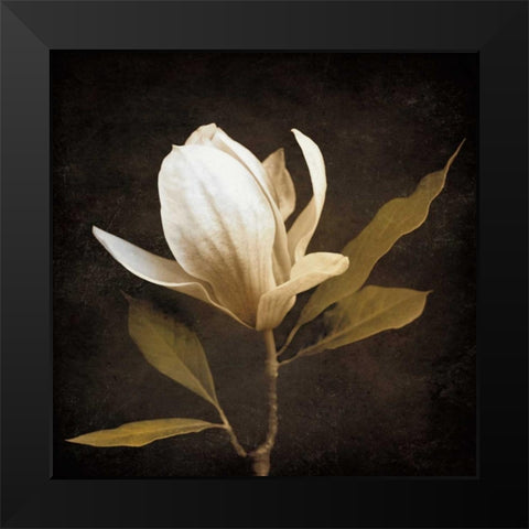 Grandeur Black Modern Wood Framed Art Print by Szilagyi, Ily
