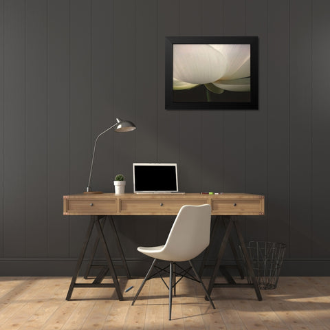 Lotus Stem Black Modern Wood Framed Art Print by Christensen, Jim