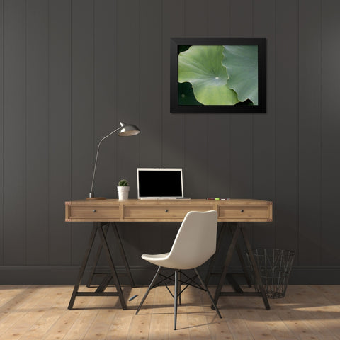Lotus III Black Modern Wood Framed Art Print by Christensen, Jim