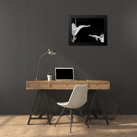 Lilies II Black Modern Wood Framed Art Print by Christensen, Jim