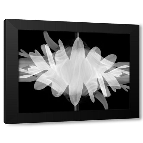 Superimposition Black Modern Wood Framed Art Print with Double Matting by Christensen, Jim