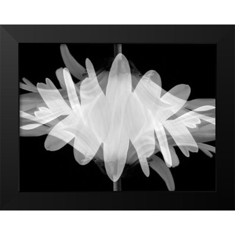 Superimposition Black Modern Wood Framed Art Print by Christensen, Jim