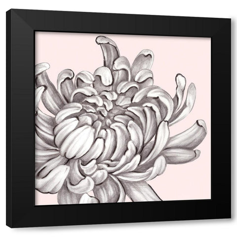 Blush Peony II Black Modern Wood Framed Art Print by Watts, Eva