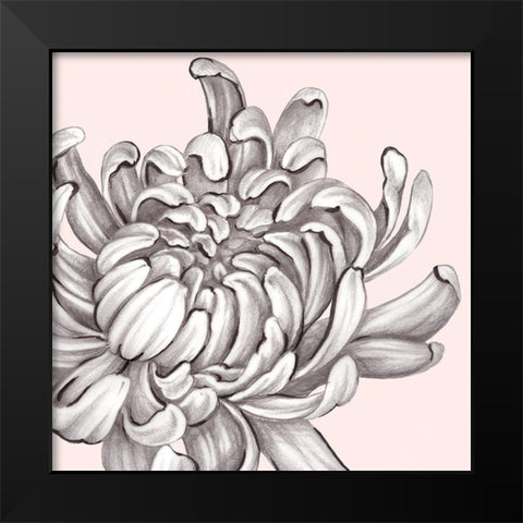 Blush Peony II Black Modern Wood Framed Art Print by Watts, Eva