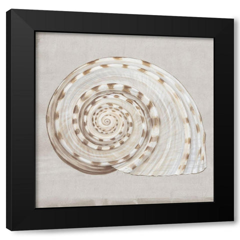 Neutral Shells I Black Modern Wood Framed Art Print by Watts, Eva