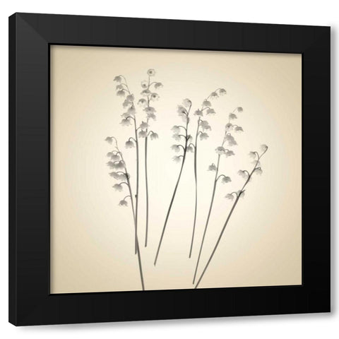 Bells Black Modern Wood Framed Art Print by Stalus, Judy