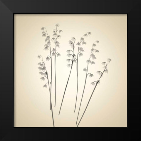 Bells Black Modern Wood Framed Art Print by Stalus, Judy