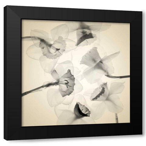 Bloom Collage Black Modern Wood Framed Art Print by Stalus, Judy