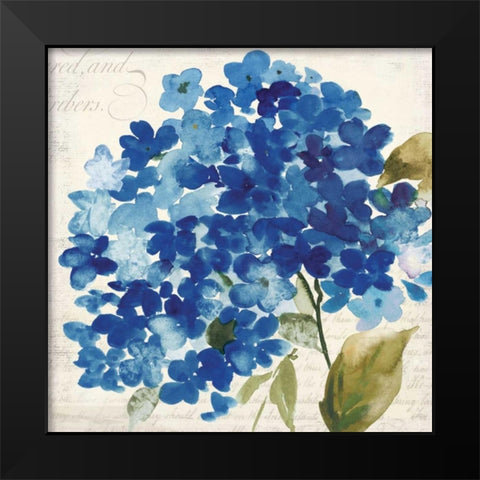 Hampton Hydrangea II Black Modern Wood Framed Art Print by Jensen, Asia