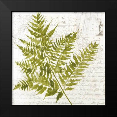 Fern I Black Modern Wood Framed Art Print by Jensen, Asia