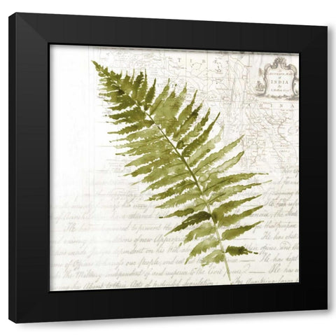 Fern II Black Modern Wood Framed Art Print by Jensen, Asia