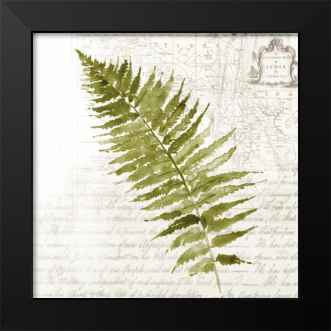Fern II Black Modern Wood Framed Art Print by Jensen, Asia