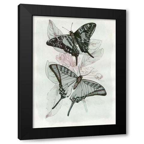 Butterfly Medley II Black Modern Wood Framed Art Print with Double Matting by Stellar Design Studio