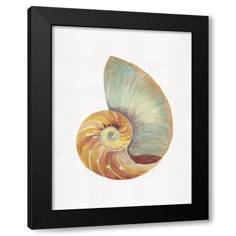 Nautilus Shell I Black Modern Wood Framed Art Print by Stellar Design Studio