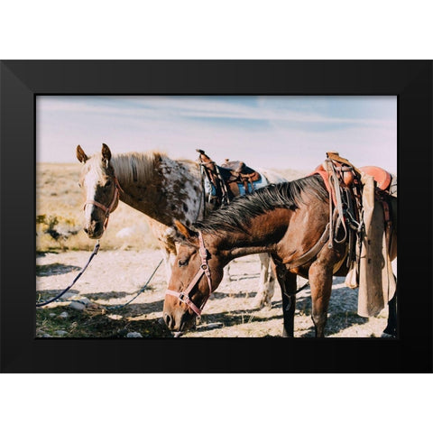 Two Saddle Horses I  Black Modern Wood Framed Art Print by Victoria, Chelsea
