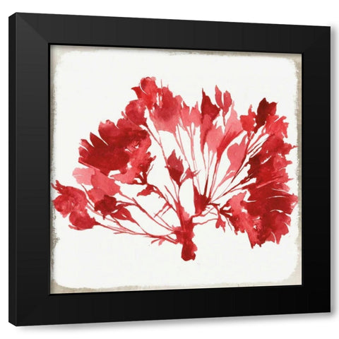 Red Coral IV Black Modern Wood Framed Art Print by Wilson, Aimee