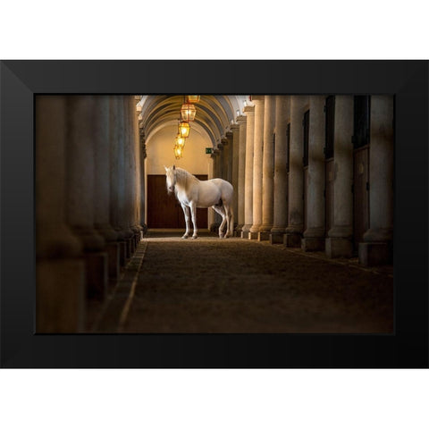 In The Barn Black Modern Wood Framed Art Print by Asimow, Merrie