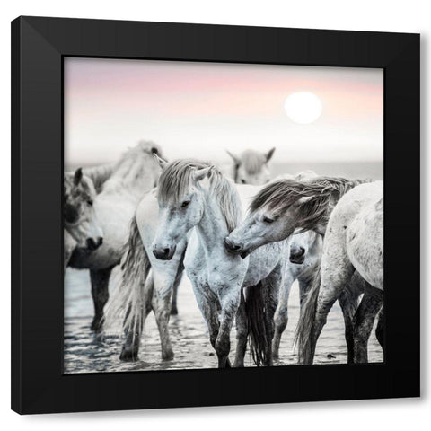 Little Nip Black Modern Wood Framed Art Print by Asimow, Merrie