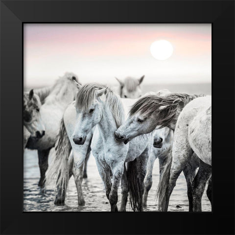 Little Nip Black Modern Wood Framed Art Print by Asimow, Merrie