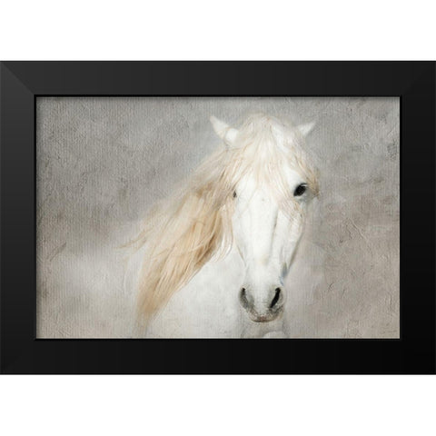 Stallion Face Black Modern Wood Framed Art Print by Asimow, Merrie