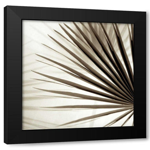 Florison - 66 Black Modern Wood Framed Art Print with Double Matting by Blaustein, Alan