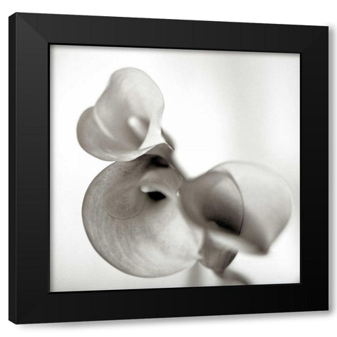 Florison - 59 Black Modern Wood Framed Art Print with Double Matting by Blaustein, Alan