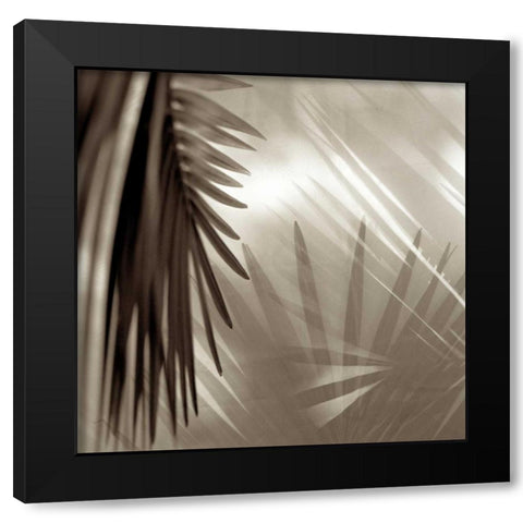 Florison - 55 Black Modern Wood Framed Art Print by Blaustein, Alan