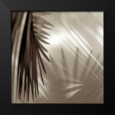 Florison - 55 Black Modern Wood Framed Art Print by Blaustein, Alan