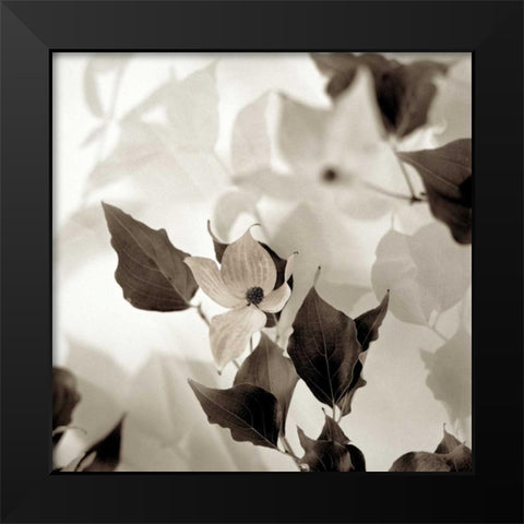 Florison - 54 Black Modern Wood Framed Art Print by Blaustein, Alan