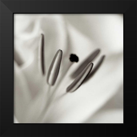 Florison - 52 Black Modern Wood Framed Art Print by Blaustein, Alan