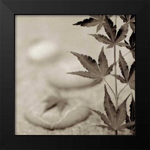 Florison - 61 Black Modern Wood Framed Art Print by Blaustein, Alan