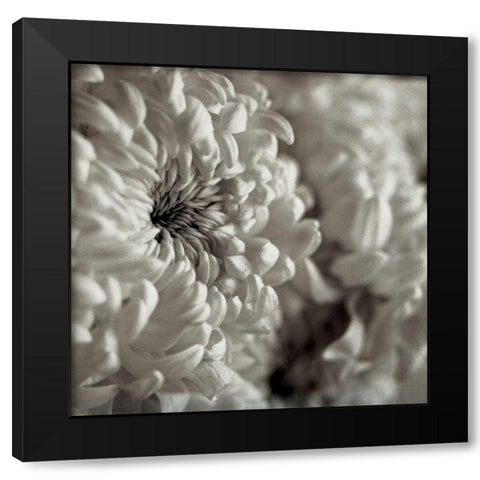 Florison - 46 Black Modern Wood Framed Art Print by Blaustein, Alan