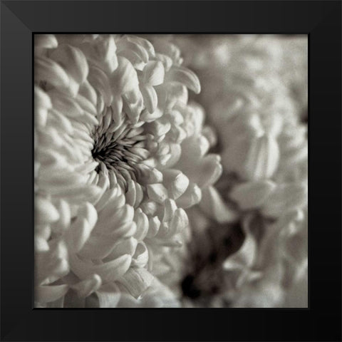 Florison - 46 Black Modern Wood Framed Art Print by Blaustein, Alan