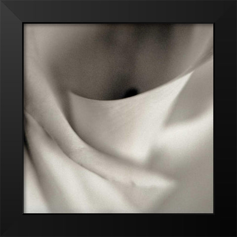 Florison - 44 Black Modern Wood Framed Art Print by Blaustein, Alan