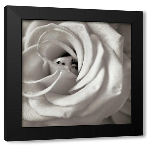 Florison - 43 Black Modern Wood Framed Art Print by Blaustein, Alan