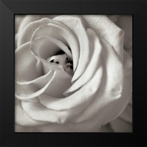 Florison - 43 Black Modern Wood Framed Art Print by Blaustein, Alan