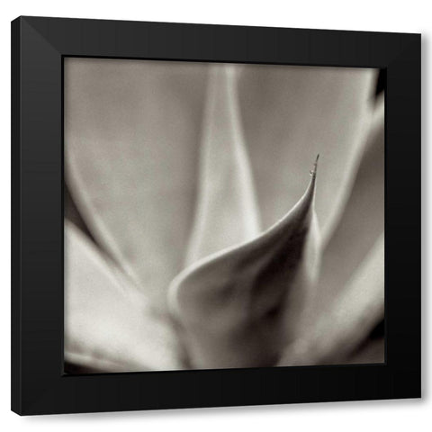 Florison - 42 Black Modern Wood Framed Art Print by Blaustein, Alan
